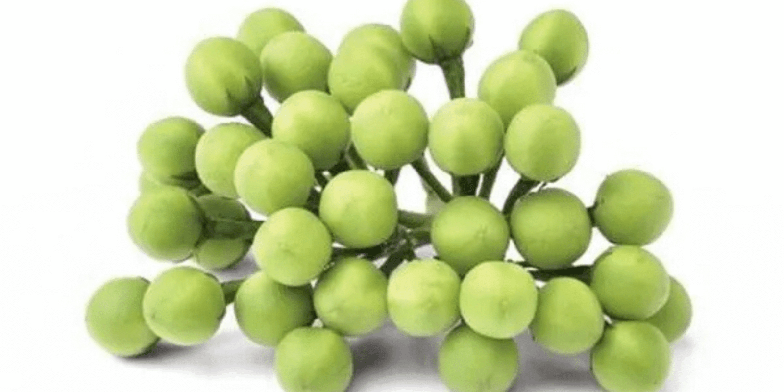 health benefits of sundakkai